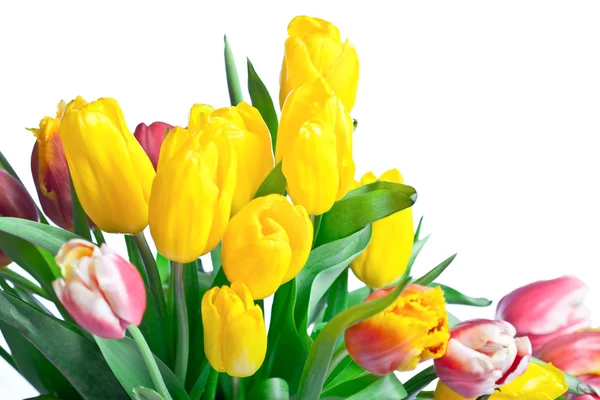 春の黄色いチューリップの花束 — ストック写真