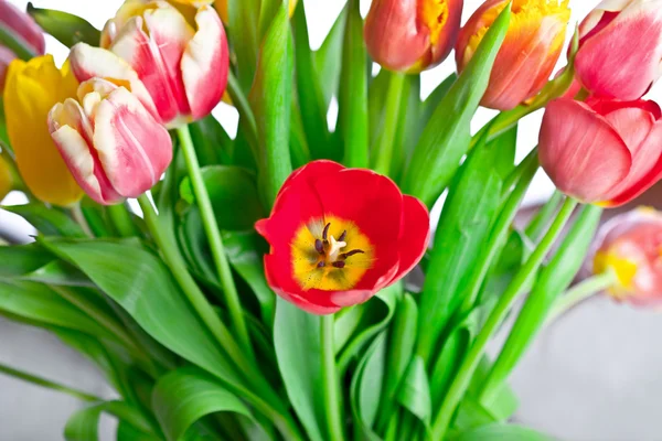 봄 노란색 튤립 꽃다발 — 스톡 사진