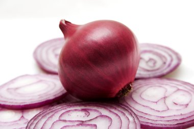 Red onions clipart