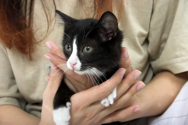 Котёнок в руках — стоковое фото