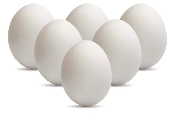 Ovos brancos grandes — Vetor de Stock