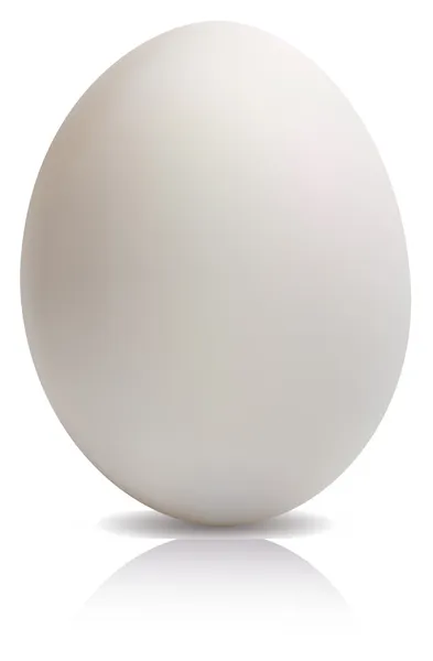 Huevo blanco grande — Vector de stock