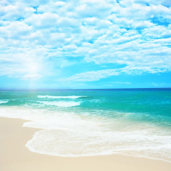 砂浜のビーチ — ストック写真