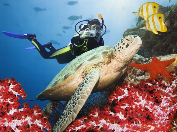 Grüne Schildkröte unter Wasser — Stockfoto