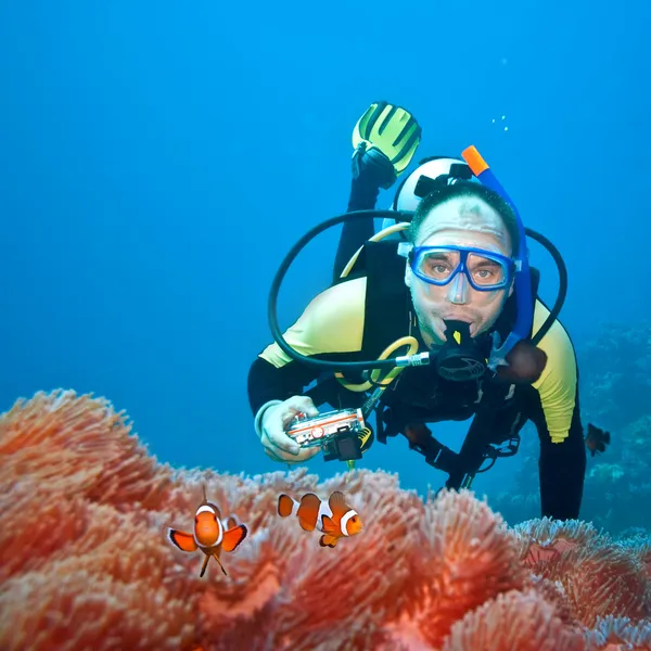 Clownfishes en fotograaf — Stockfoto