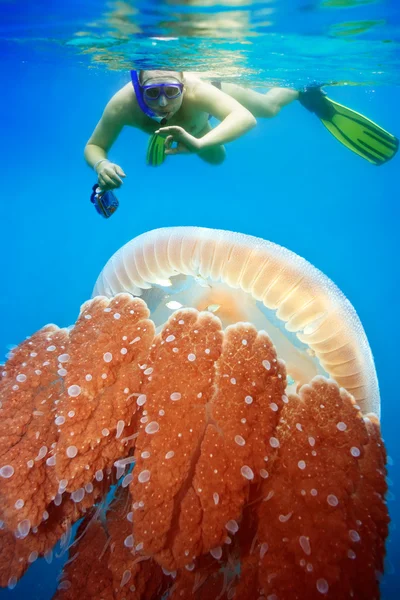 Snorkeling con meduse — Foto Stock