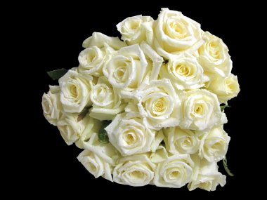 White roses clipart