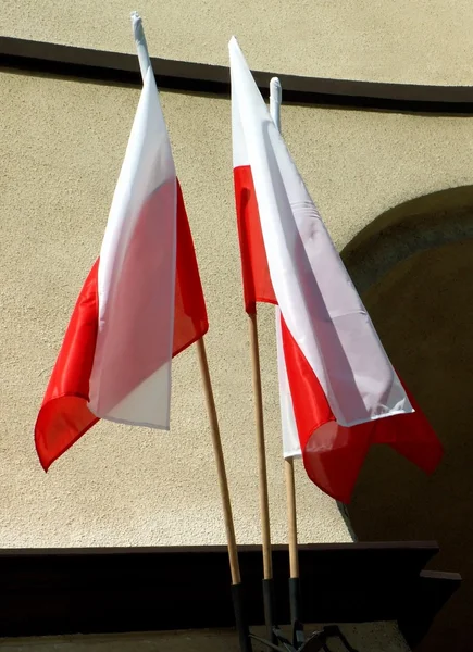 stock image Polish flags