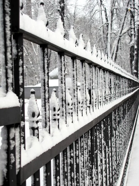 Зимний забор — стоковое фото