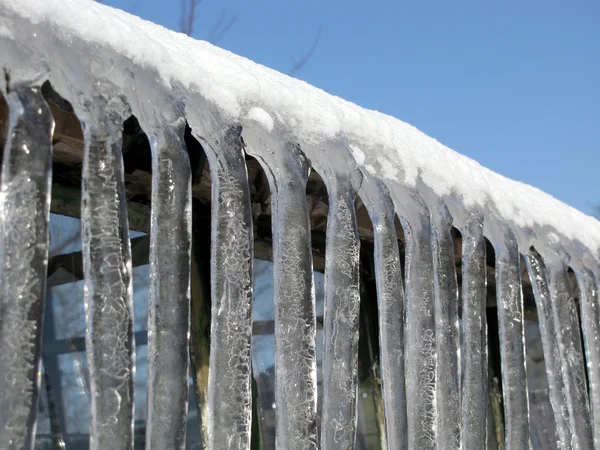 Stock image Winter icicles