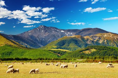 Mountain landscape, New Zealand clipart