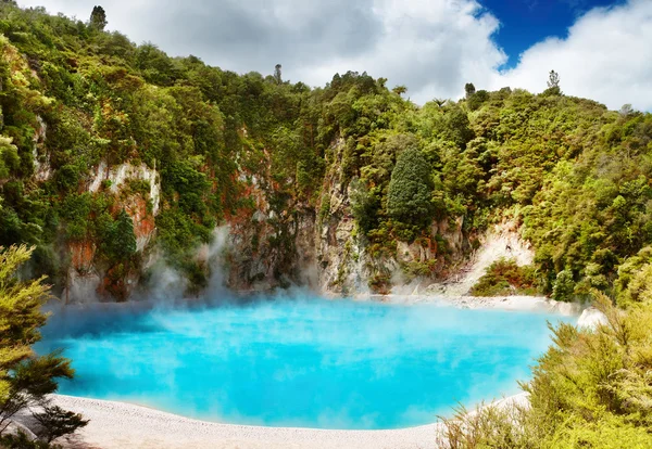 Hot thermal spring, New Zealand — Stock Photo, Image