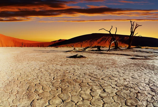 Sossusvlei，纳米比亚纳米布沙漠 — 图库照片