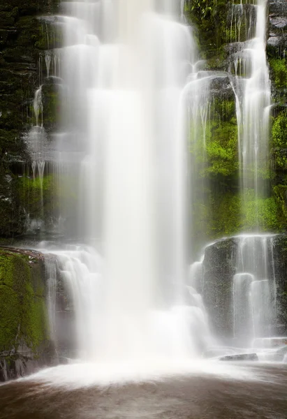 Маклін Falls, Нова Зеландія — стокове фото