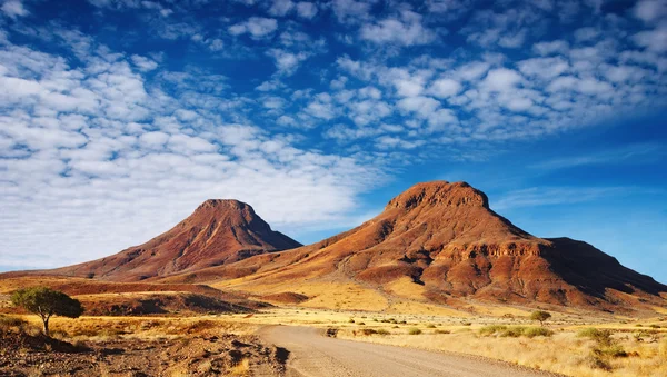Kalahari Desert — Stock Photo, Image