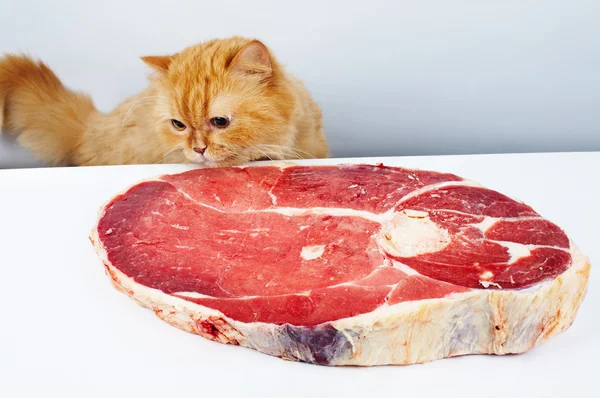 Cat reach the meat — Stock Photo, Image