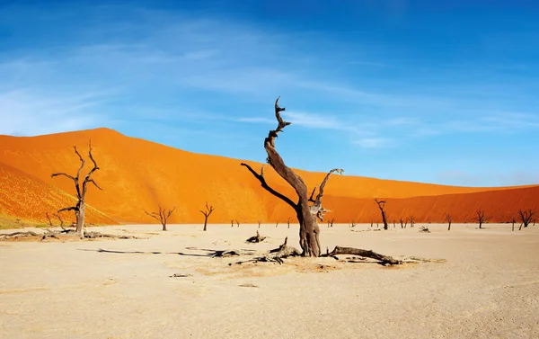 Desierto de Namib, Sossusvlei, Namibia —  Fotos de Stock