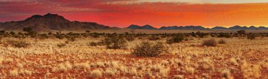 Kalahari Desert clipart
