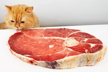 Cat reach the meat clipart