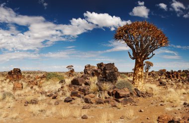 Namibian desert clipart