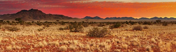 Deserto de Kalahari — Fotografia de Stock