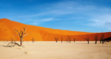 Namib Desert clipart