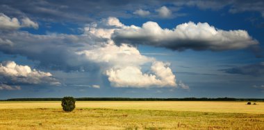 Landscape with cloudy sky clipart