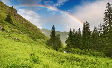 Rainbow over forest clipart
