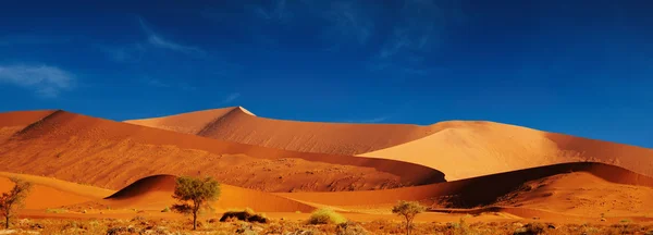 Έρημος Namib — Φωτογραφία Αρχείου