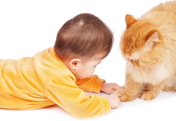 婴儿与猫 — 图库照片