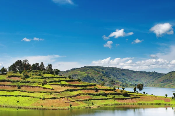 Lago Bunyonyi en Uganda — Foto de Stock