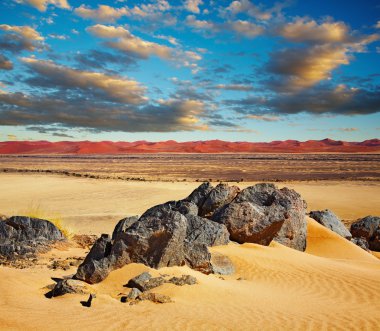 Namib Desert clipart