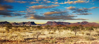 Kalahari Desert, Namibia clipart