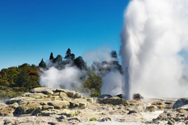 Pohutu Geyser, New Zealand clipart