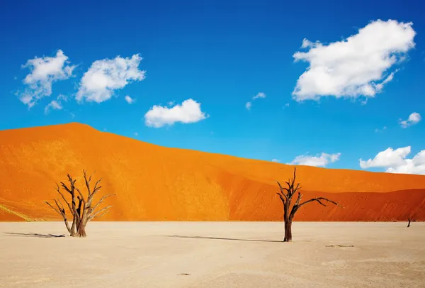 Namib wüste, sossusvlei, namibia — Stockfoto