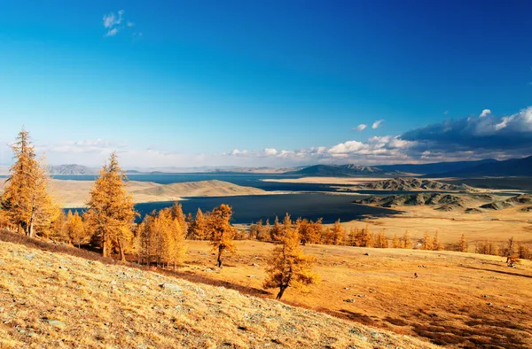 몽골 풍경 — 스톡 사진