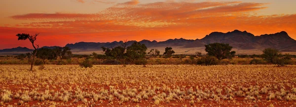 Pustyni Kalahari — Zdjęcie stockowe