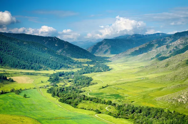 Зеленая долина — стоковое фото