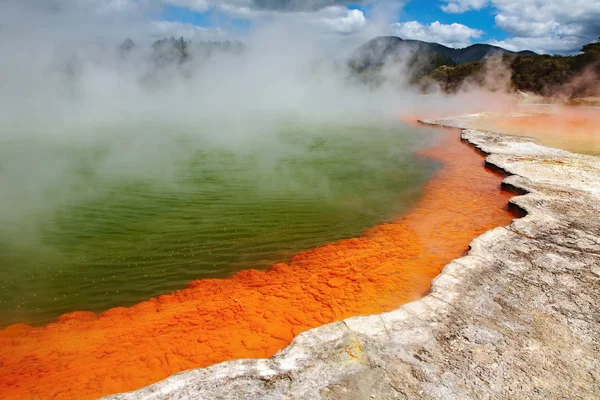 Hot thermal spring, New Zealand — Stock Photo, Image