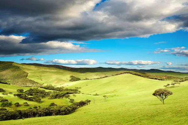 Nieuw-Zeeland landschap — Stockfoto