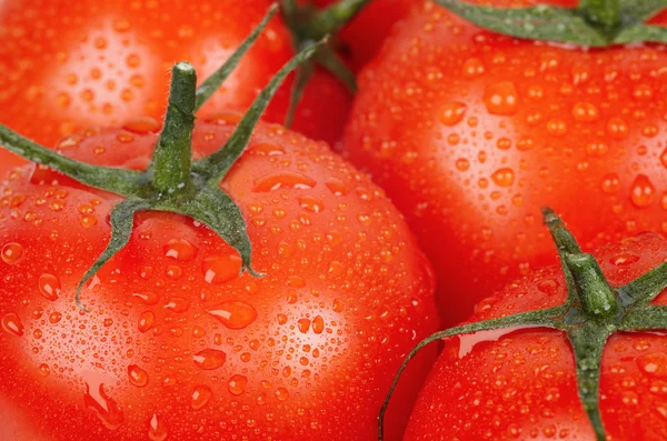Tomato background — Stock Photo, Image