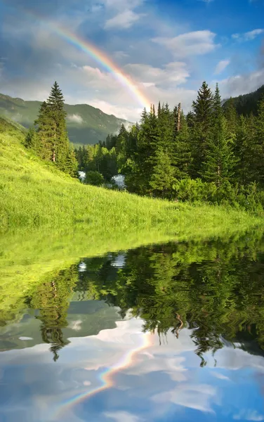 Rainbow over forest — Stock Photo, Image