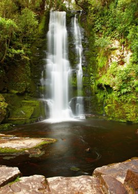 Mclean Falls, New Zealand clipart