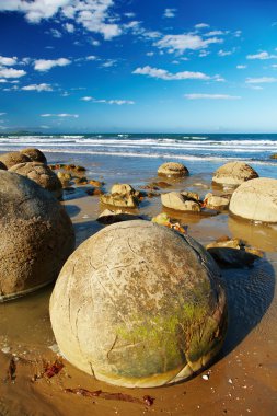 Moeraki Boulders, New Zealand clipart