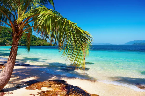 Tropical beach, Thajsko — Stock fotografie
