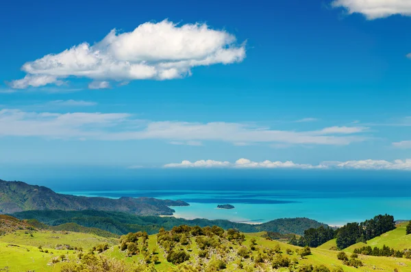 Küstenblick, Neuseeland — Stockfoto