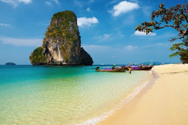 Tropical beach, Thailand clipart