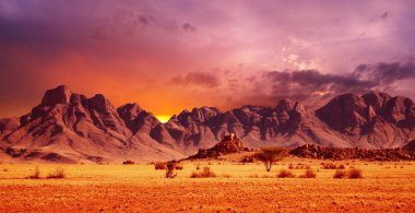 Namib Desert clipart