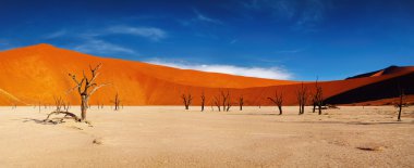 Namib Desert, Sossusvlei, Namibia clipart