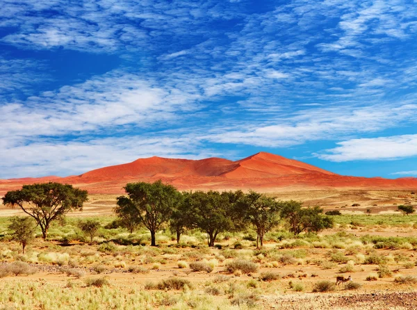 Namibská poušť, sossufley, Namibie — Stock fotografie